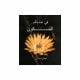 In the Sphere of Silence - Arabic