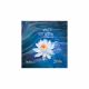 In the Sphere of Silence - Hindi (20th Anniversary Edition)