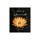In the Sphere of Silence - Arabic
