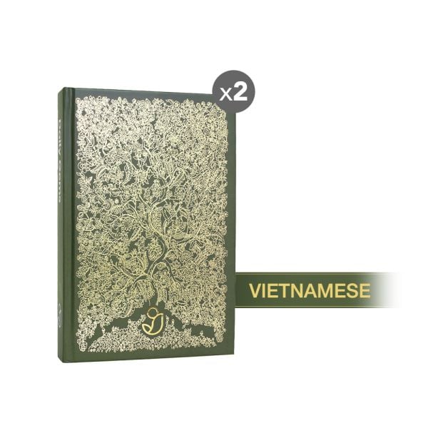 DAILY GEMS (Vietnamese) Soft cover x2